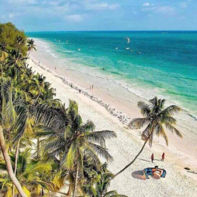 26132243Q6TH7HjG-min